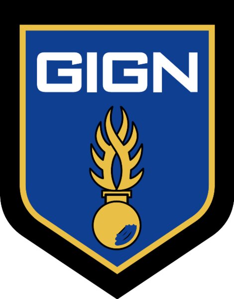Groupe d'Intervention de la Gendarmerie Nationale (GIGN)