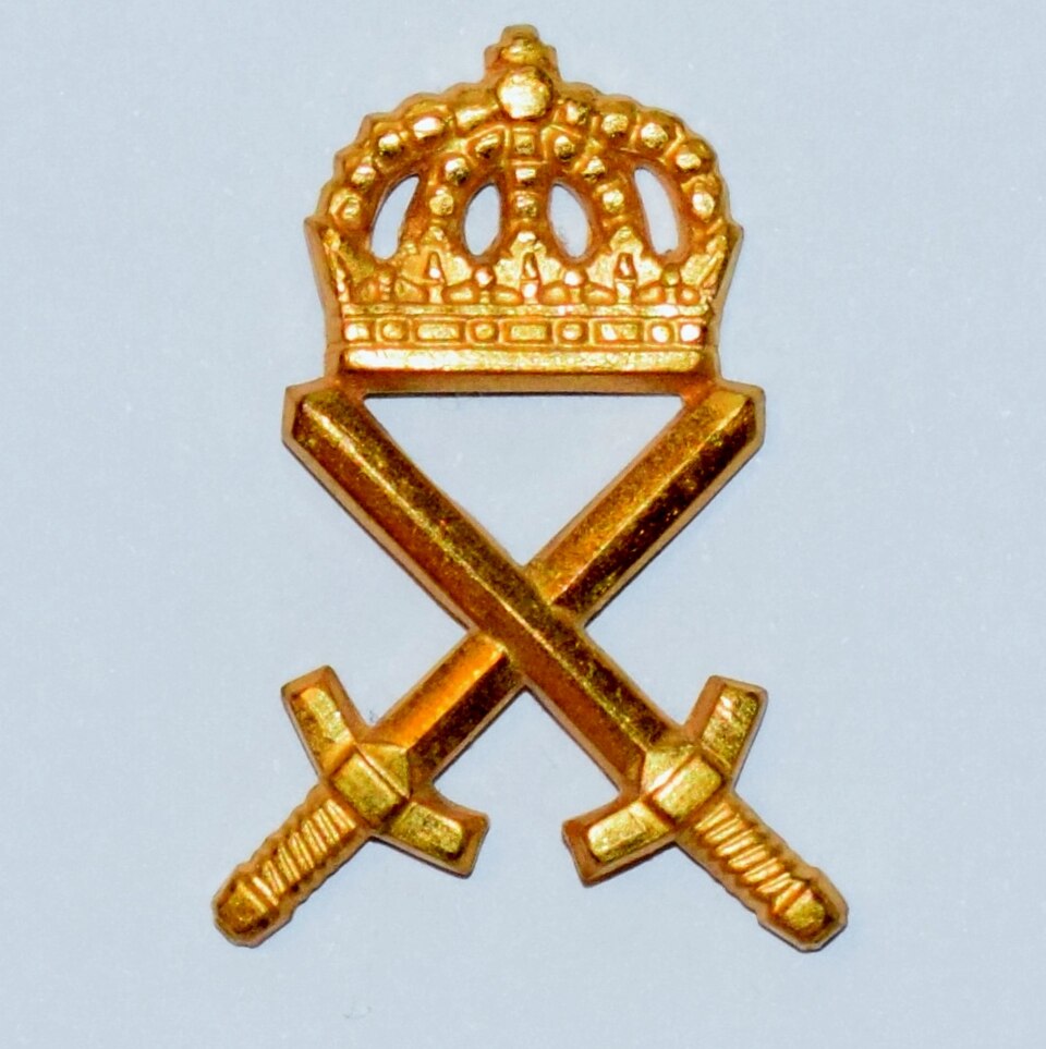 Särskilda operationsgruppen (SOG)